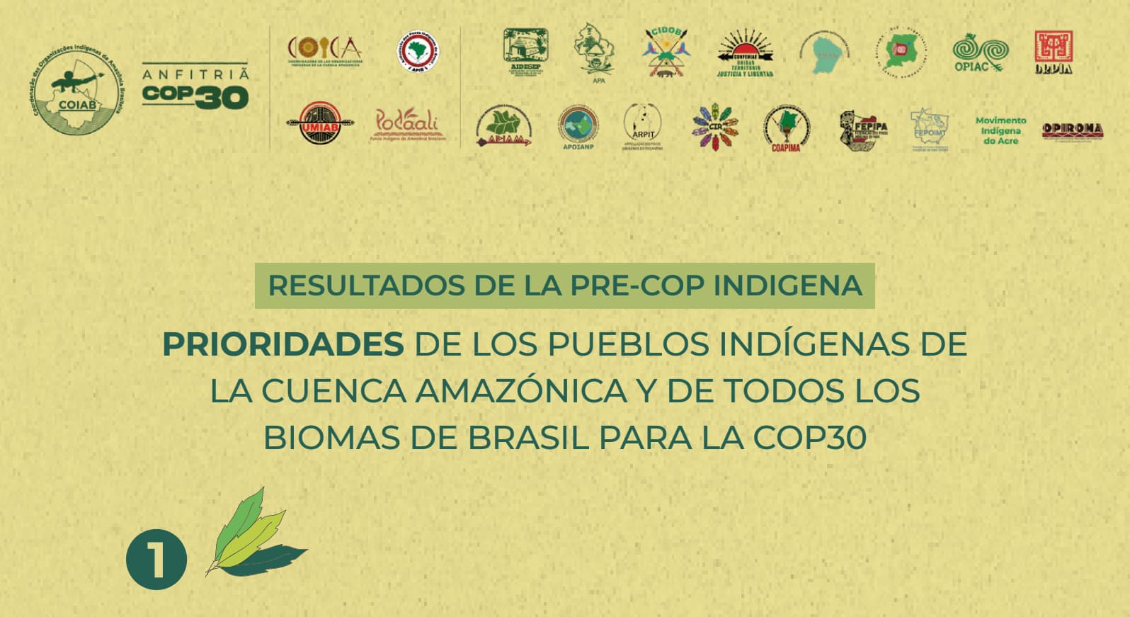 RESULTADOS DA PRÉ-COP INDÍGENA